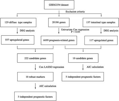 Identification of Subtype-Specific Three-Gene Signature for Prognostic Prediction in Diffuse Type Gastric Cancer